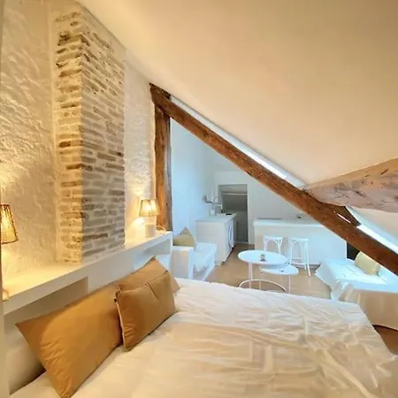 Apartment Rue Pietonne